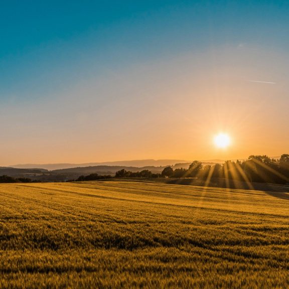 sunrise