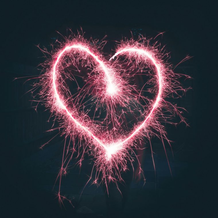 A REGENERATED HEART