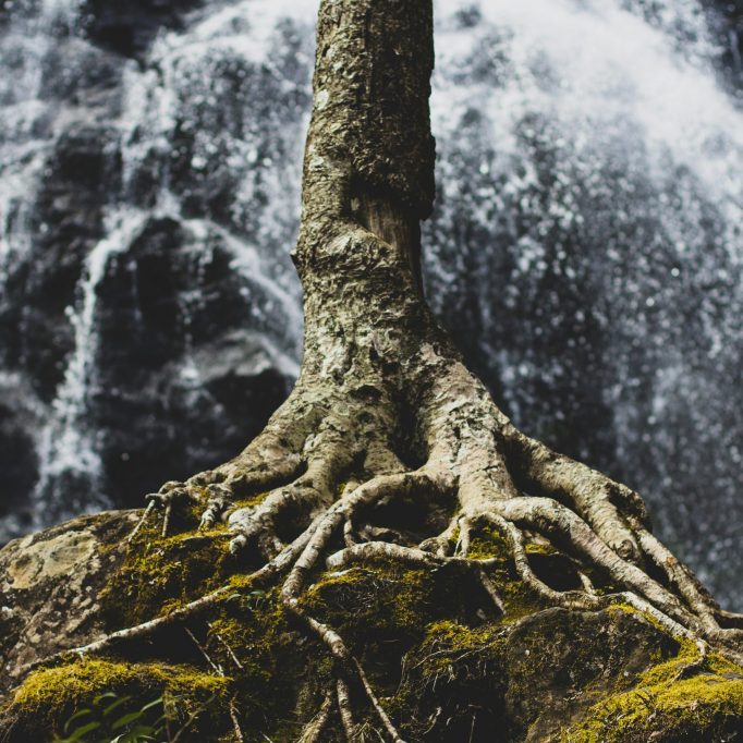 BE PERSUADED IN GOD’S ABILITY