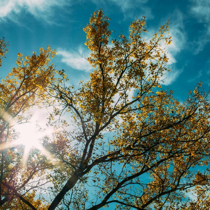 RECALL THE LORD’S MERCIES