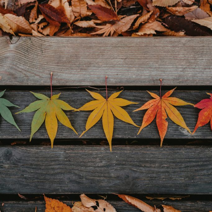 RECOGNISING SEASONS