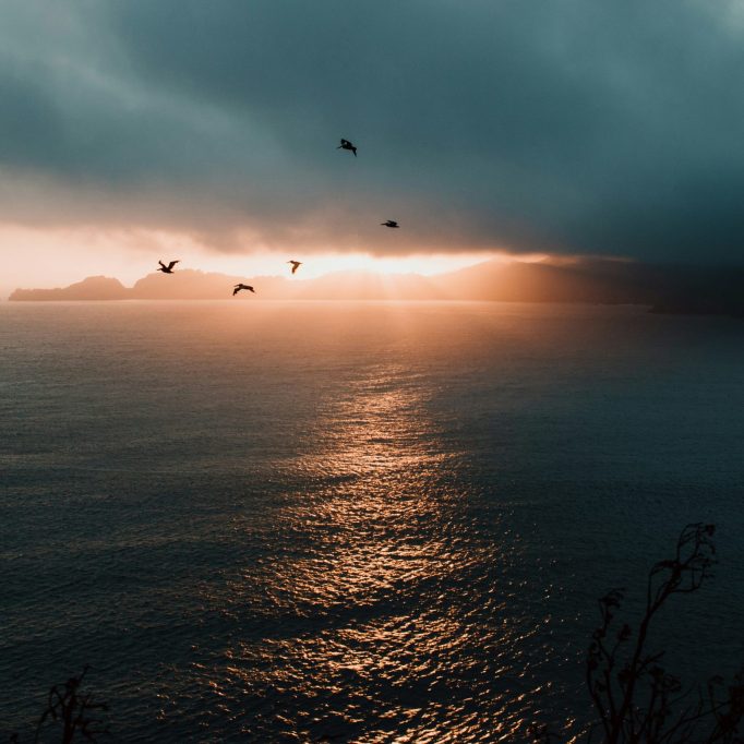 FAITH AMIDST THE STORM2