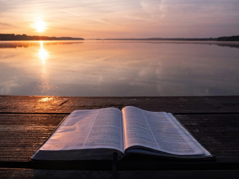 STAY IN THE WORD