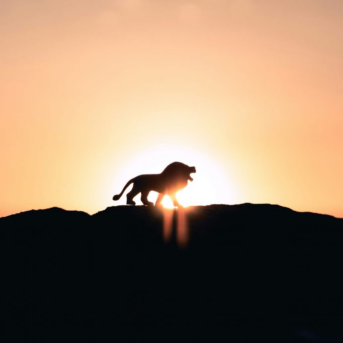 DON’T CAST AWAY YOUR CONFIDENCE
