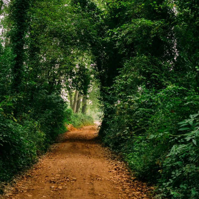 AS FOR GOD, HIS WAY IS PERFECT