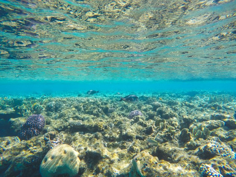 THE RED SEA WILL PART FOR YOU
